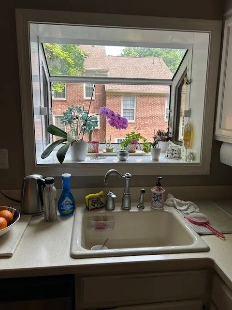Projecting kitchen garden window with plants above a sink